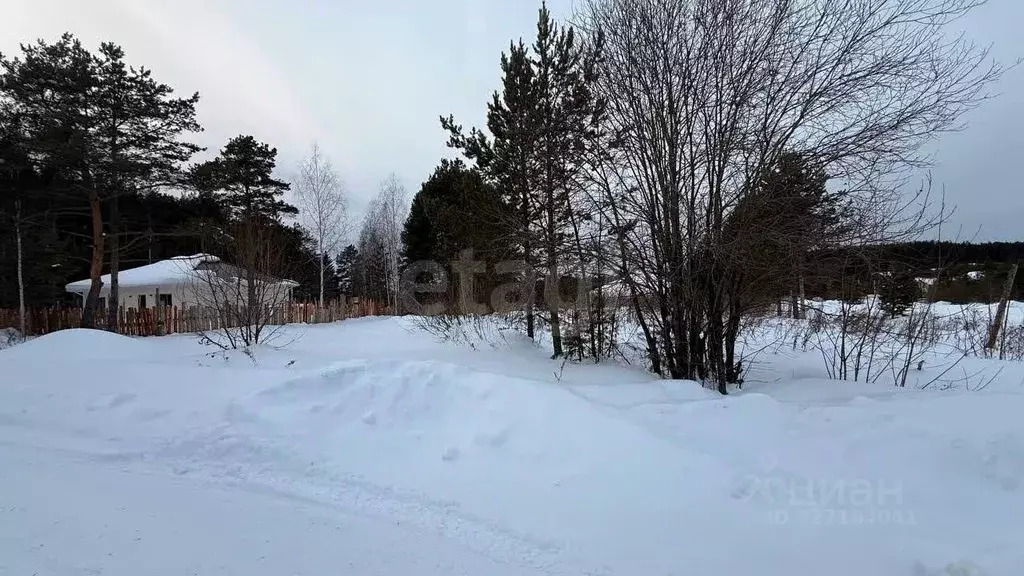 Участок в Свердловская область, Нижний Тагил ул. Отрадная (6.35 сот.) - Фото 1