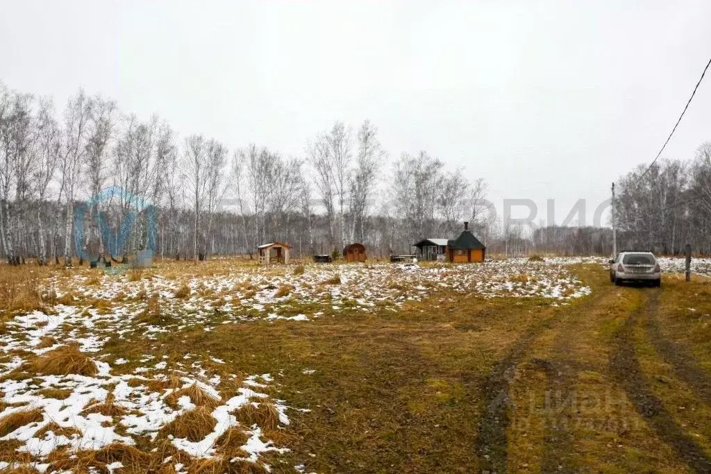 Участок в Омская область, Омский район, Пушкинское с/пос, д. Ракитинка ... - Фото 1