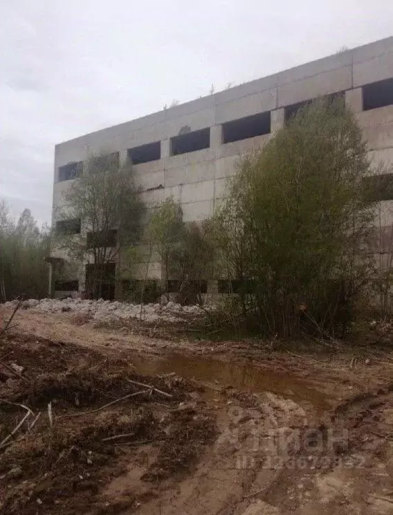 Производственное помещение в Ленинградская область, Кириши ш. ... - Фото 2