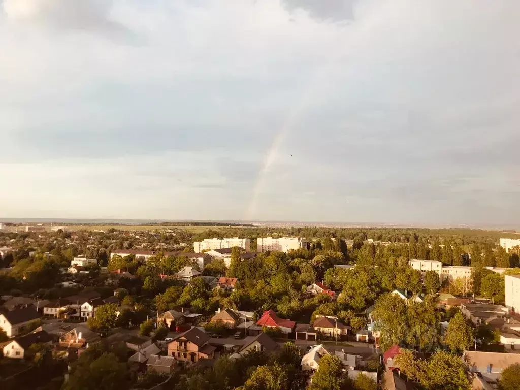 1-к кв. Белгородская область, Белгород ул. Челюскинцев, 17в (55.0 м) - Фото 1