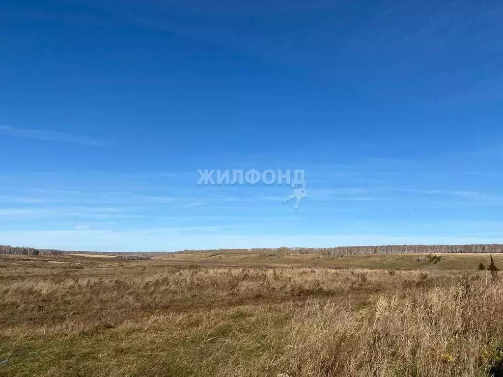 Участок в Новосибирская область, Ордынский район, с. Усть-Луковка ул. ... - Фото 0