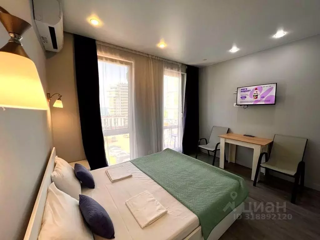Студия Краснодарский край, Сочи ул. Ленина, 298В/4 (23.0 м) - Фото 1