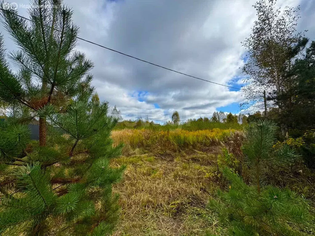 Участок в Ярославский муниципальный округ, село Лютово (15 м) - Фото 2