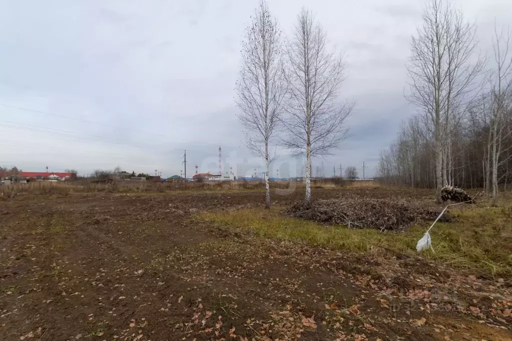 Участок в Тюменская область, Нижнетавдинский муниципальный округ, ... - Фото 1