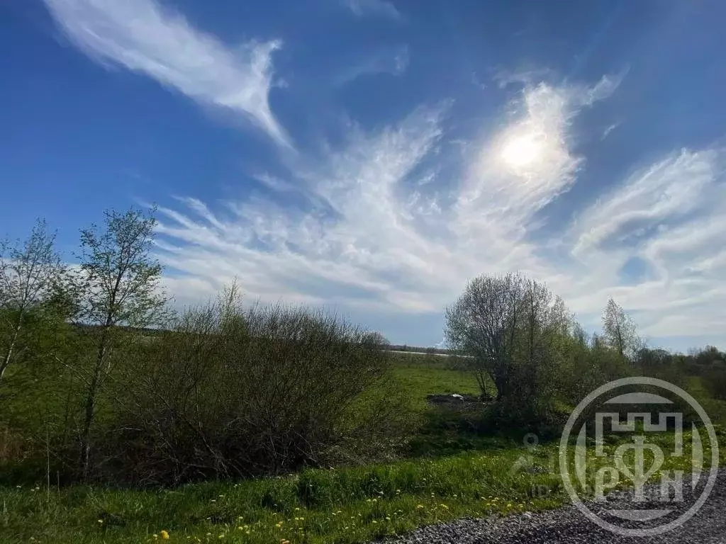 Участок в Ленинградская область, Ломоносовский район, Лебяженское ... - Фото 1