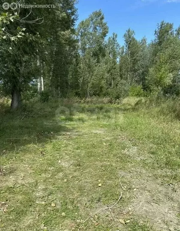 Участок в Майминский район, село Подгорное, улица Прибрежная (31 м) - Фото 1