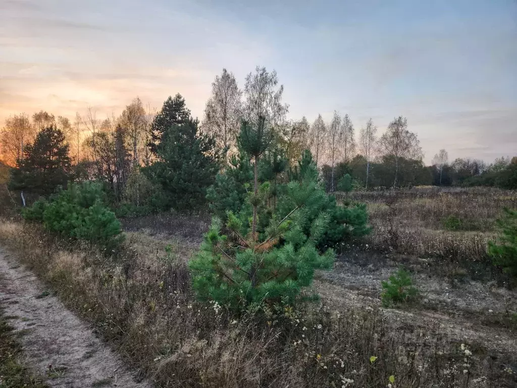 Участок в Владимирская область, Петушинский муниципальный округ, д. ... - Фото 2