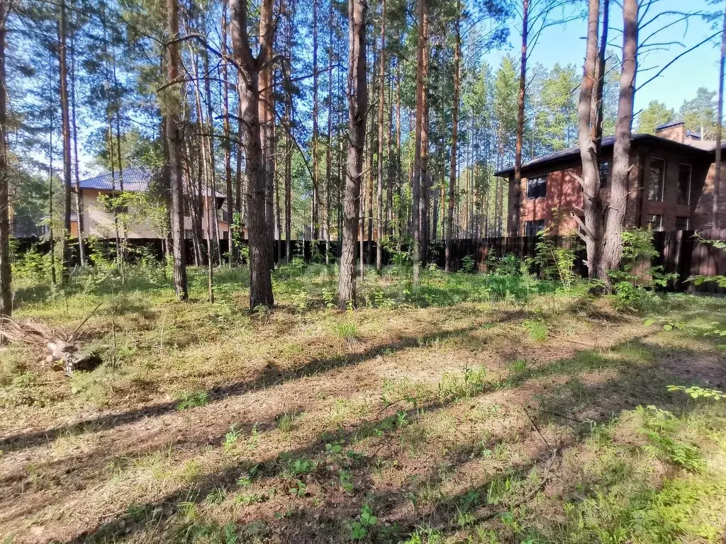 Участок в Новосибирская область, Новосибирский район, Кудряшовский дп ... - Фото 0