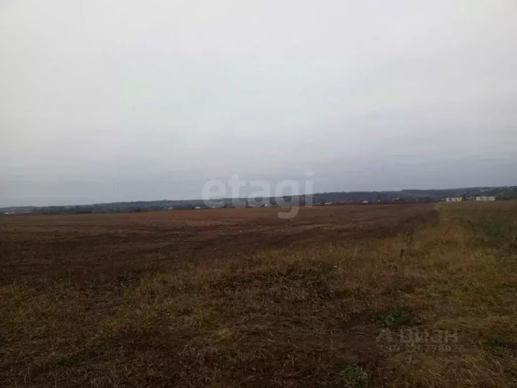 Участок в Курская область, Курский район, Моковский сельсовет, д. ... - Фото 1