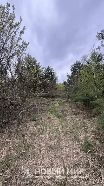 Участок в Нижегородская область, Бор Автомобилист СНТ, 84 (5.35 сот.) - Фото 2