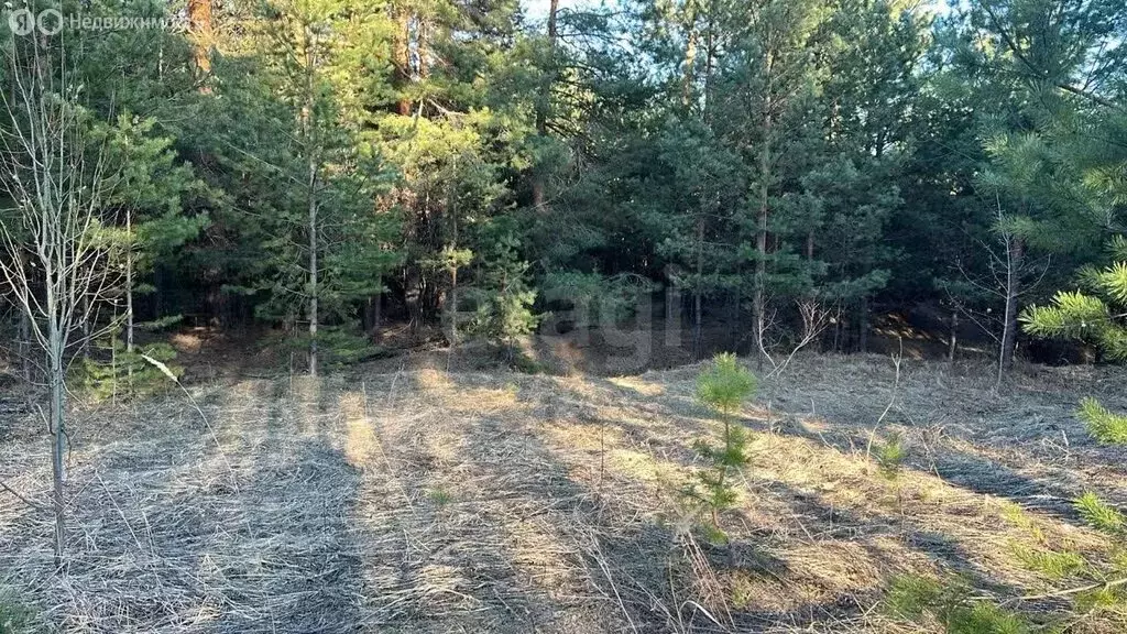 Участок в Казань, Советский район (15 м) - Фото 2