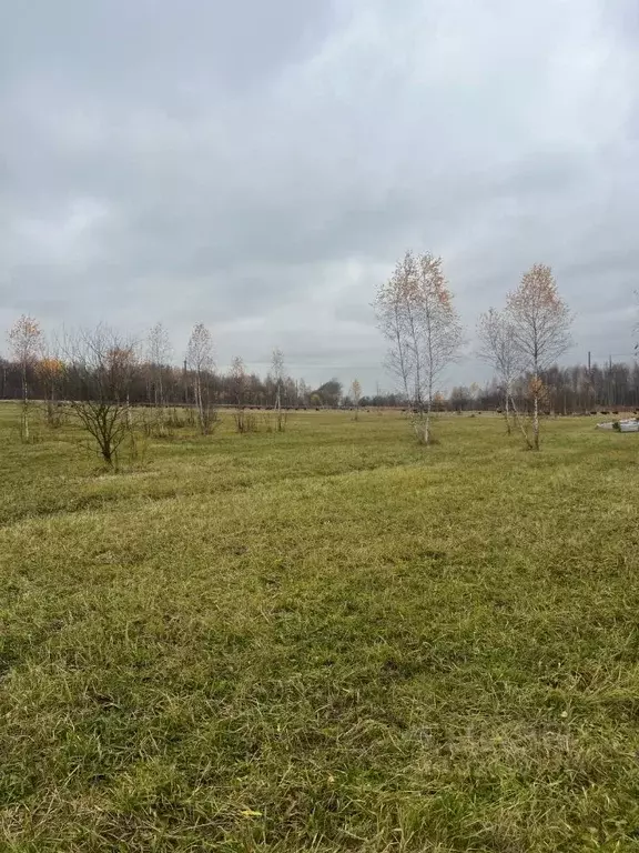 Участок в Тульская область, Щекинский район, Крапивенское с/пос, с. ... - Фото 1