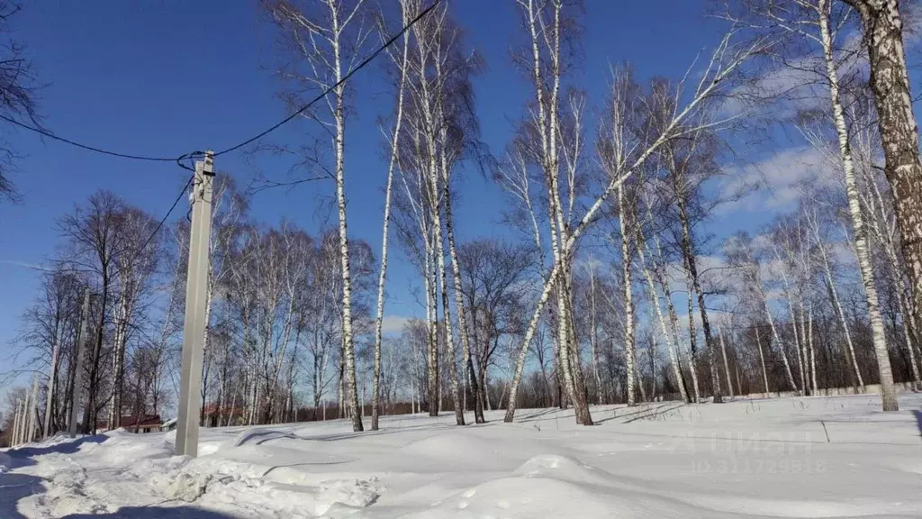 Участок в Московская область, Лосино-Петровский городской округ, ... - Фото 0