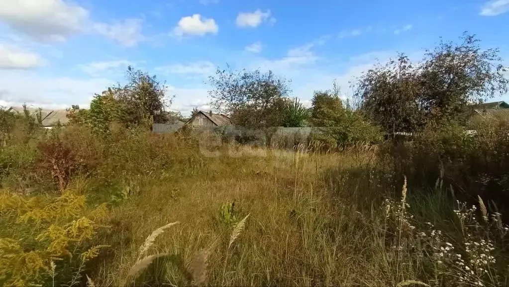 Участок в Брянская область, Климово рп ул. Калинина (12.0 сот.) - Фото 1