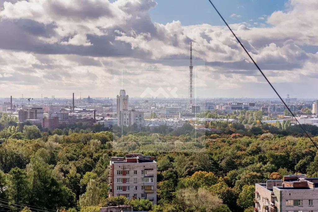 2-к кв. Санкт-Петербург просп. Пархоменко, 19к1 (115.0 м) - Фото 1