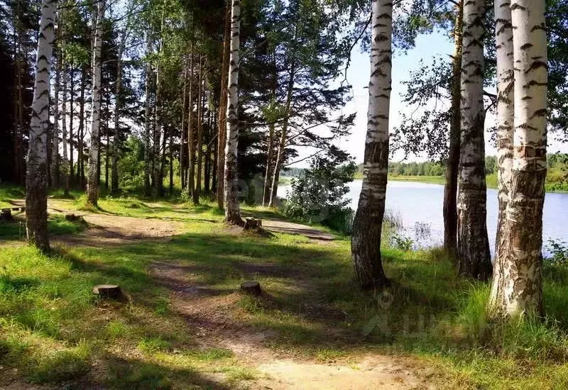 Участок в Ленинградская область, Кингисеппский район, Вистинское ... - Фото 1