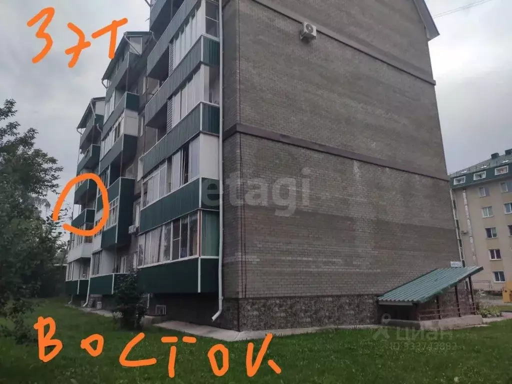 Студия Алтай, Майминский район, с. Майма ул. Березовая роща (23.4 м) - Фото 2