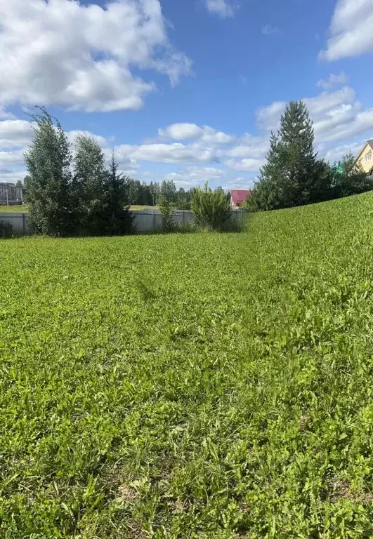 Участок в Кировская область, Слободской район, д. Шихово Полевая ул., ... - Фото 2