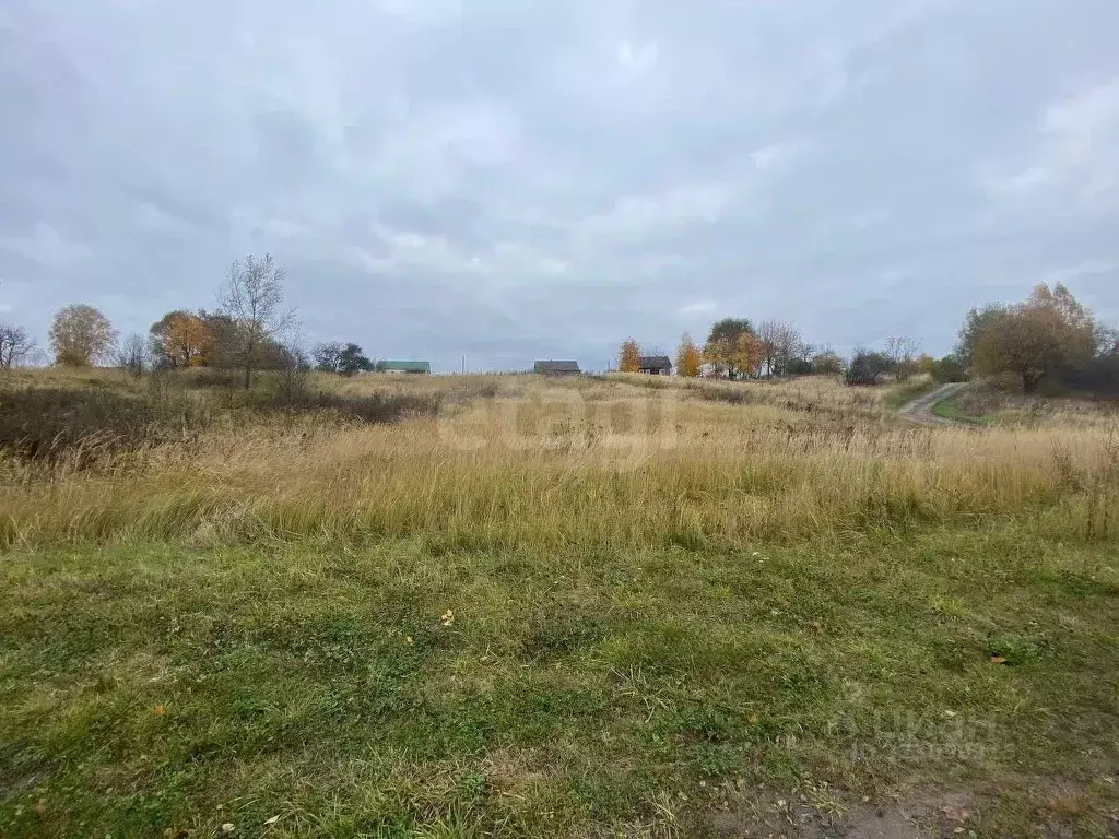 Участок в Брянская область, Жуковский муниципальный округ, с. Овстуг ... - Фото 2