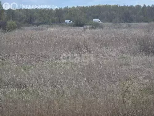 Участок в Калининградская область, Полесский муниципальный округ, ... - Фото 2