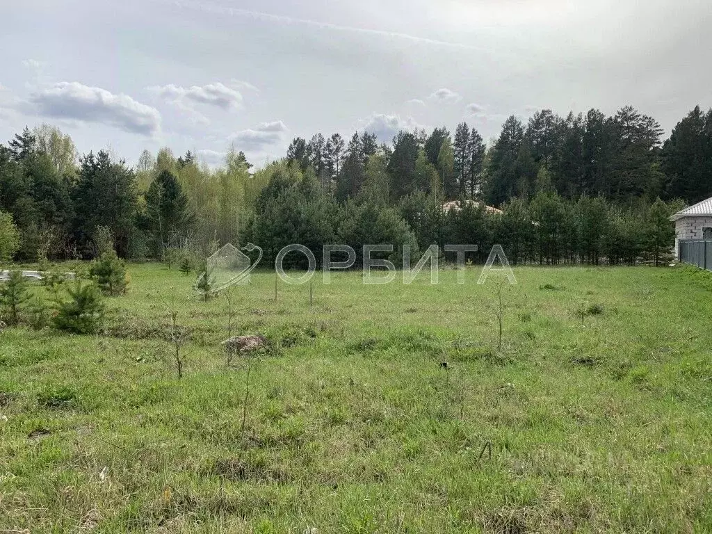 Участок в Тюменская область, Тюменский район, с. Гусево ул. ... - Фото 2