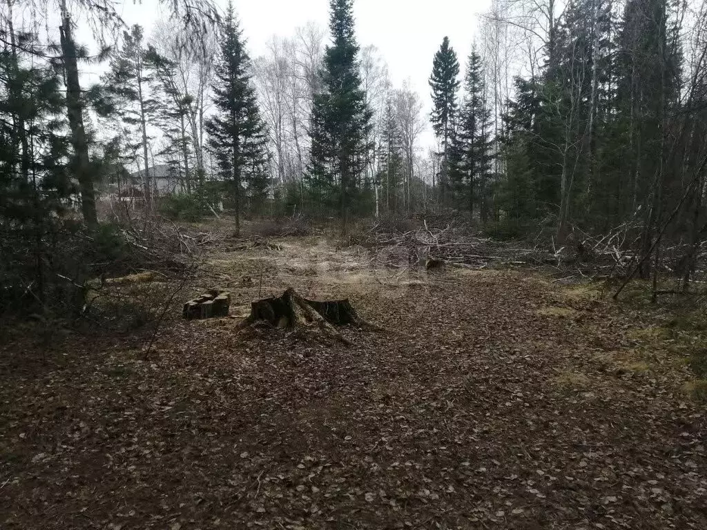 Участок в Тобольск, Дубравная улица (11 м) - Фото 2