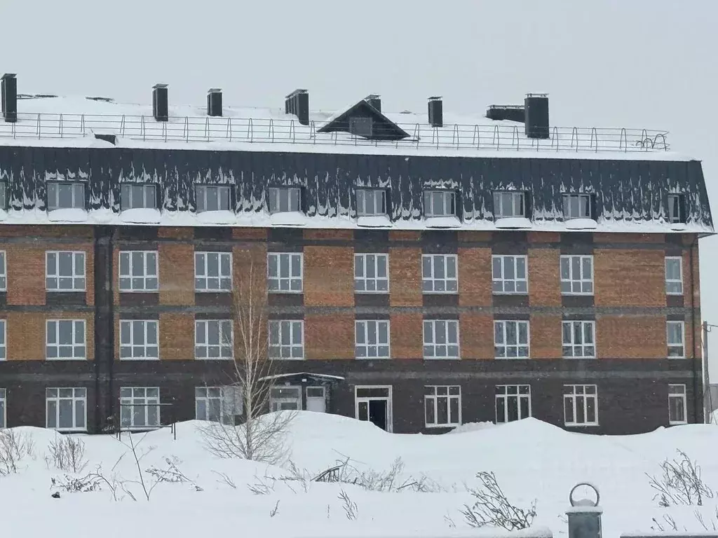 Помещение свободного назначения в Новосибирская область, Бердск ул. ... - Фото 1