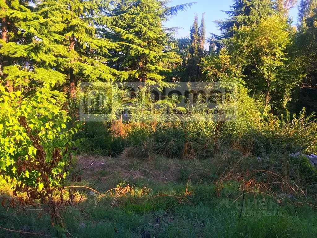 Участок в Крым, ялта ул. Мусы Мамута (4.0 сот.) - Фото 0