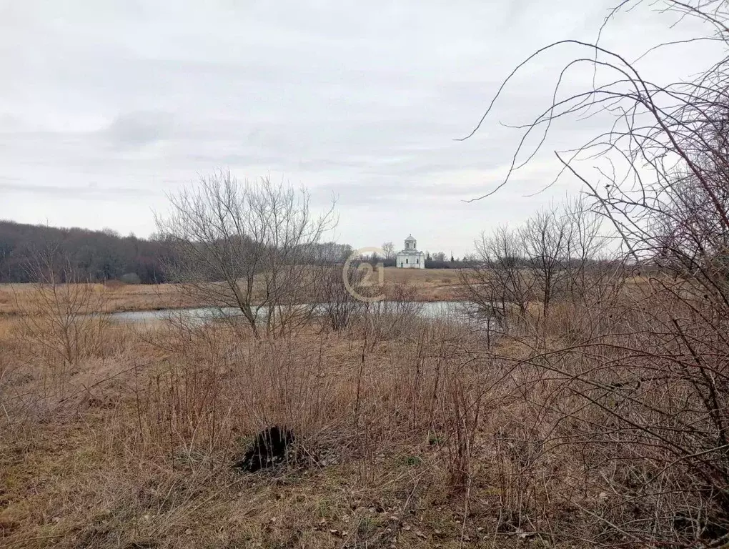 Участок в Тамбовская область, Никифоровский муниципальный округ, с. ... - Фото 2