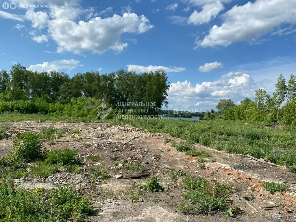 Участок в Рязанская область, Касимовский муниципальный округ, рабочий ... - Фото 2