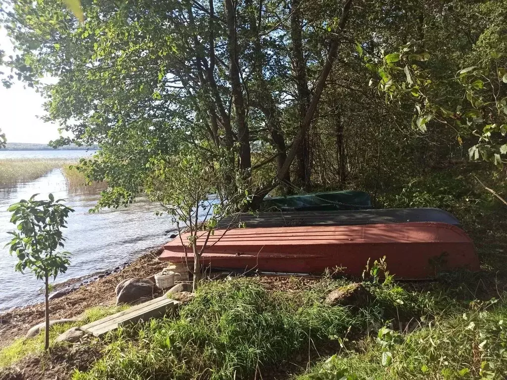 Участок в Ленинградская область, Приозерский район, Плодовское с/пос, ... - Фото 0