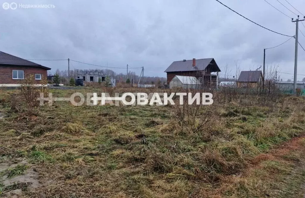 Участок в Садовый, ДНТ Витязь, 66 (7.25 м) - Фото 2