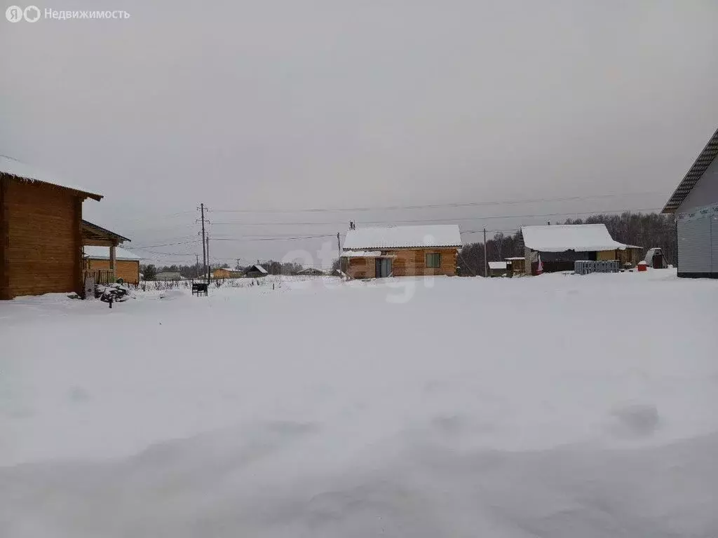 Участок в Томский район, деревня Новомихайловка, ДНП Кедры, Ореховая ... - Фото 1