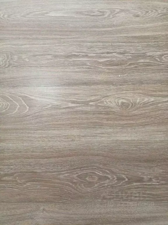 1-к кв. Воронежская область, Воронеж ул. Героев Сибиряков, 53 (29.8 м) - Фото 2