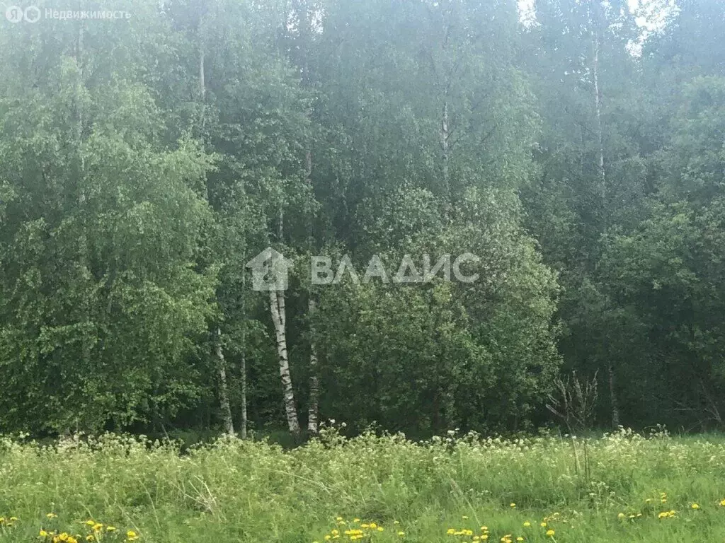 Участок в Выборгский район, Приморское городское поселение (2594 м) - Фото 1