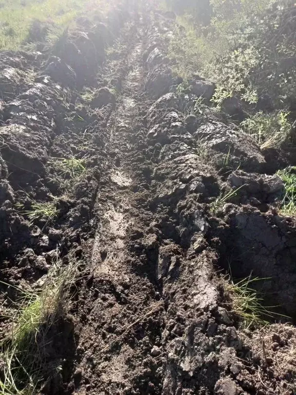 Участок в Смоленская область, д. Батищево  (5500.0 сот.) - Фото 1