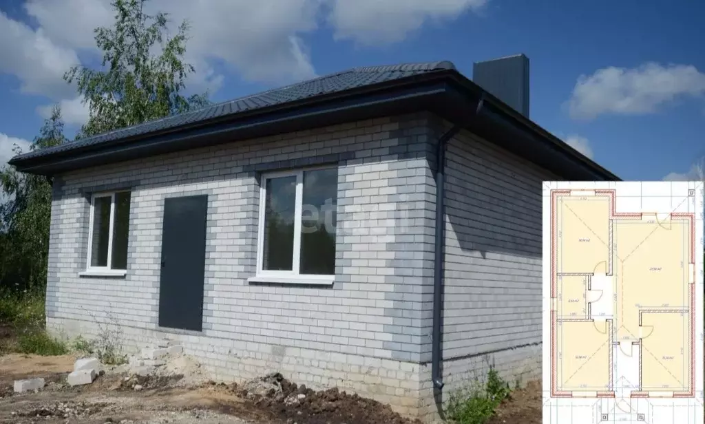 Дом в Воронежская область, с. Новая Усмань ул. Парковая, 55 (92 м) - Фото 0