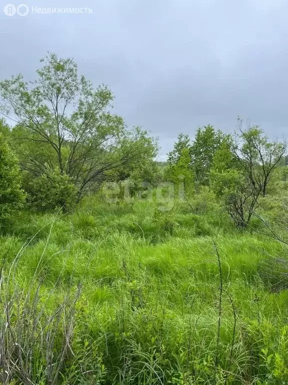 Участок в Хабаровск (9 м) - Фото 0