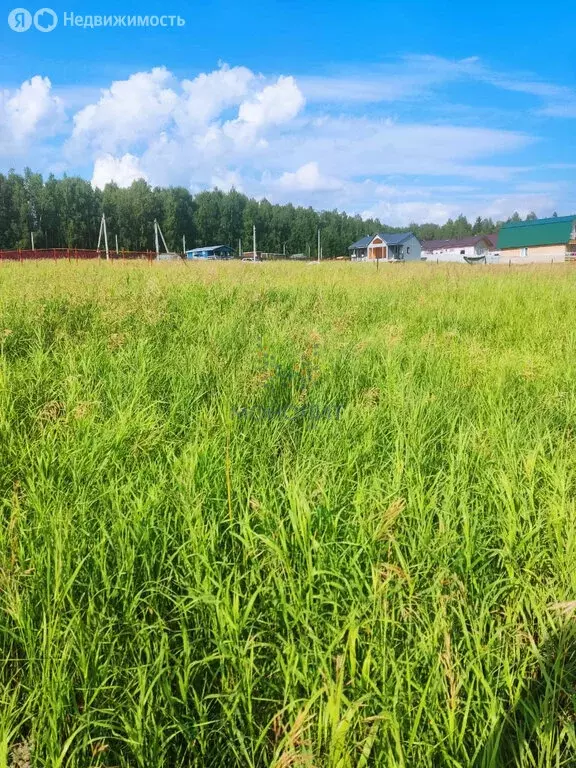 Участок в Сергиево-Посадский городской округ, садовое некоммерческое ... - Фото 0