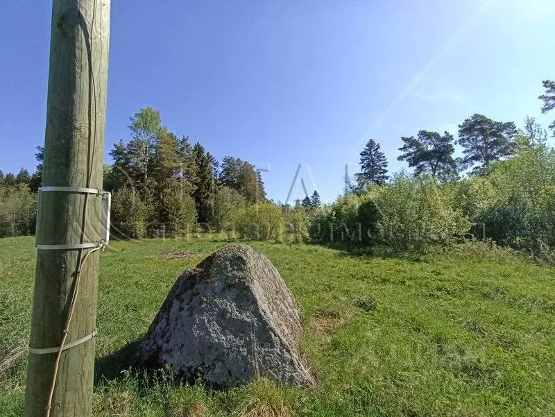 участок в ленинградская область, выборгский район, советское городское . - Фото 1