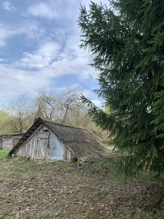 Участок в Калужская область, Перемышльский район, Ахлебинино с/пос, д. ... - Фото 2