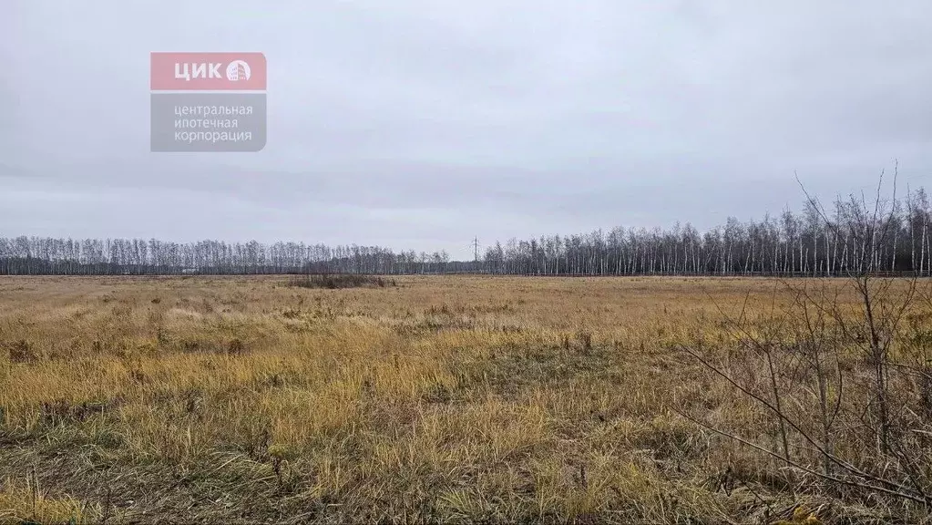 Участок в Рязанская область, Рязанский муниципальный округ, д. Хирино ... - Фото 2