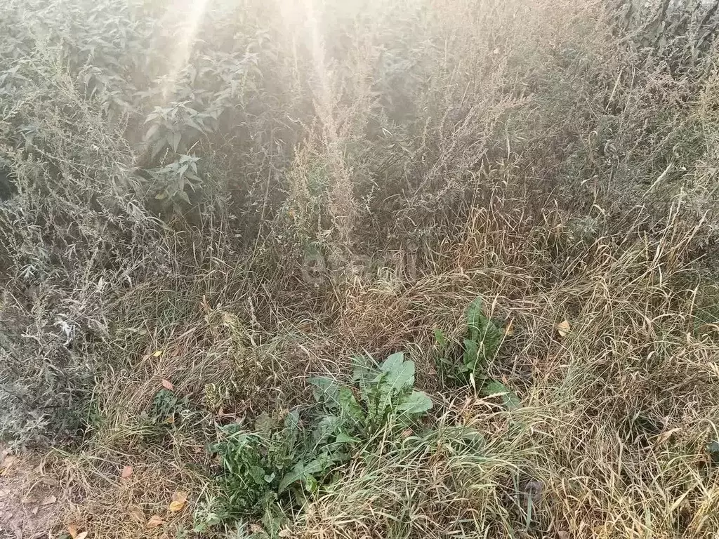 Участок в Коми, Сыктывдинский район, Ыб муниципальное образование, д. ... - Фото 1