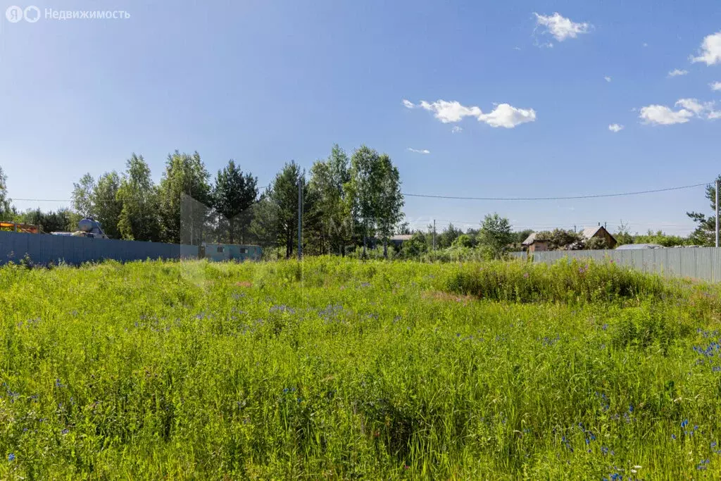 Участок в Тюменский район, деревня Головина (11 м) - Фото 0