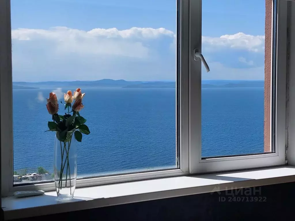 Студия Приморский край, Владивосток ул. Кирова, 45 (43.0 м) - Фото 0