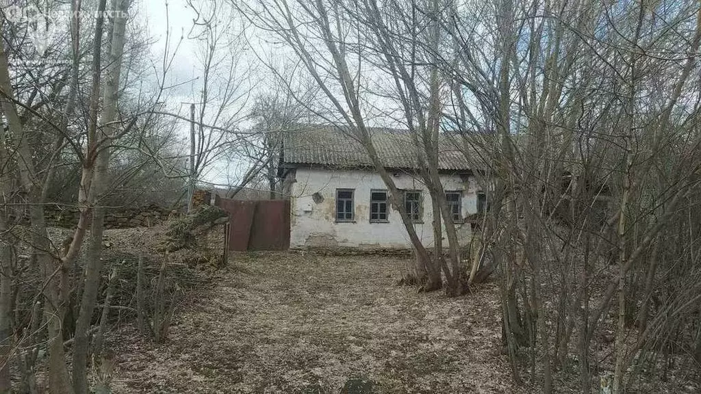 Дом в Рязанская область, Скопинский муниципальный округ, село ... - Фото 1