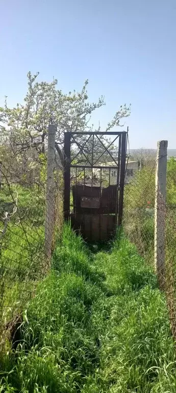 Участок в Крым, Феодосия городской округ, с. Солнечное пер. Сосновый ... - Фото 1