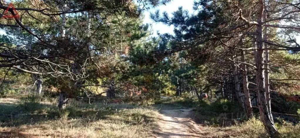 Участок в Севастополь Фотон садоводческое товарищество, 25 (10.0 сот.) - Фото 0