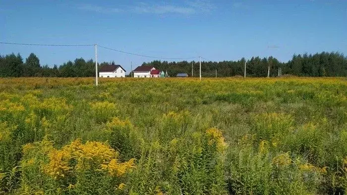 Участок в Нижегородская область, Бор городской округ, д. Каликино ул. ... - Фото 0