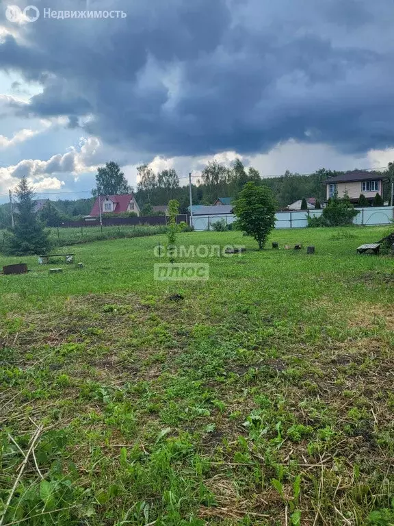 Участок в Московская область, Раменский муниципальный округ, село ... - Фото 1